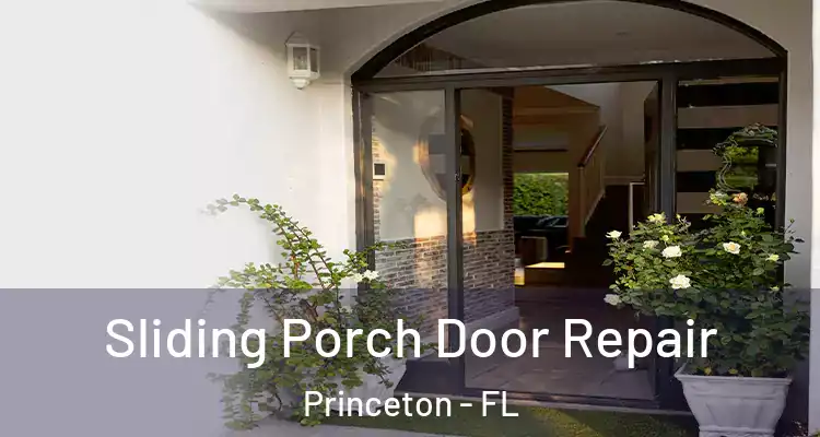  Sliding Porch Door Repair Princeton - FL