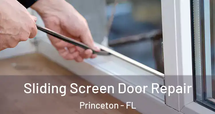  Sliding Screen Door Repair Princeton - FL
