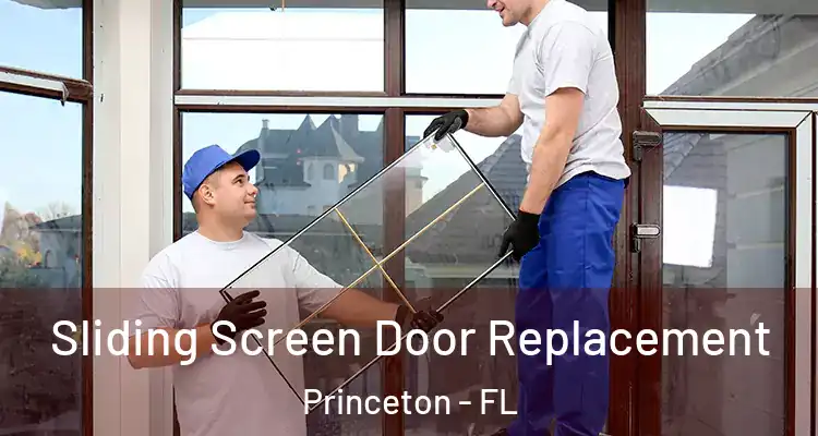  Sliding Screen Door Replacement Princeton - FL