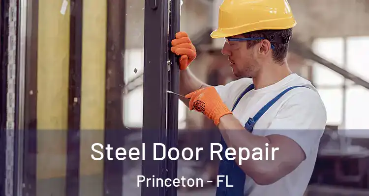  Steel Door Repair Princeton - FL