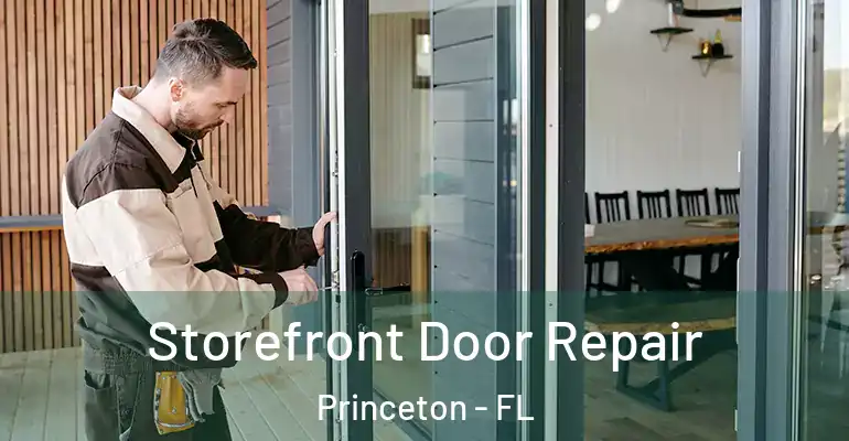  Storefront Door Repair Princeton - FL
