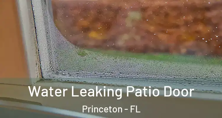 Water Leaking Patio Door Princeton - FL