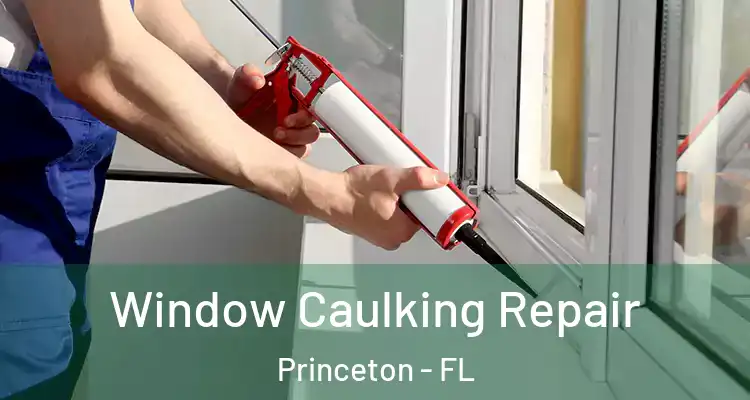  Window Caulking Repair Princeton - FL