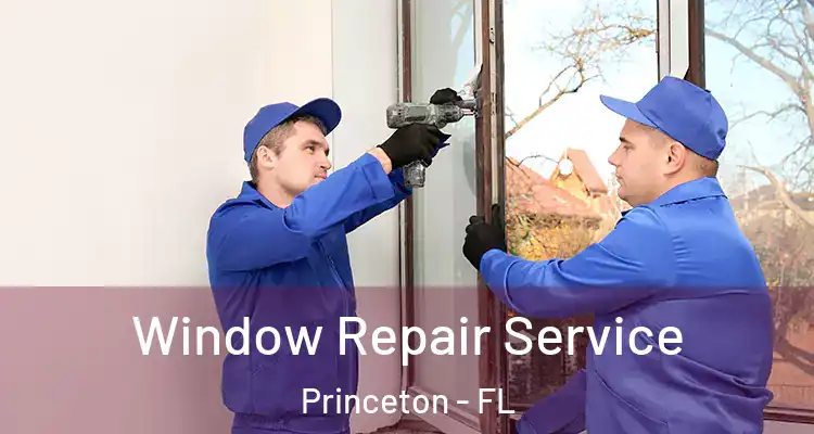  Window Repair Service Princeton - FL