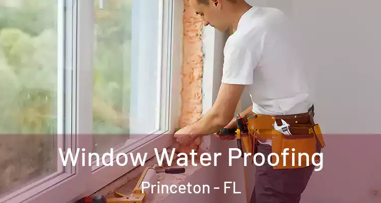  Window Water Proofing Princeton - FL