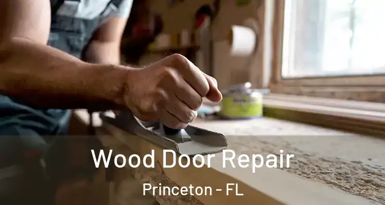  Wood Door Repair Princeton - FL